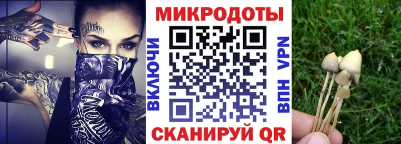 Псилоцибиновые грибы мицелий  гидра вход  Шумерля 